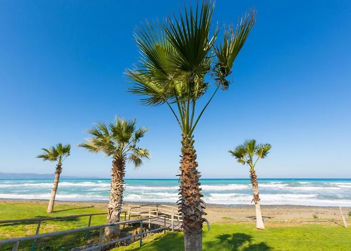 Clementina Vila Kato Yialia